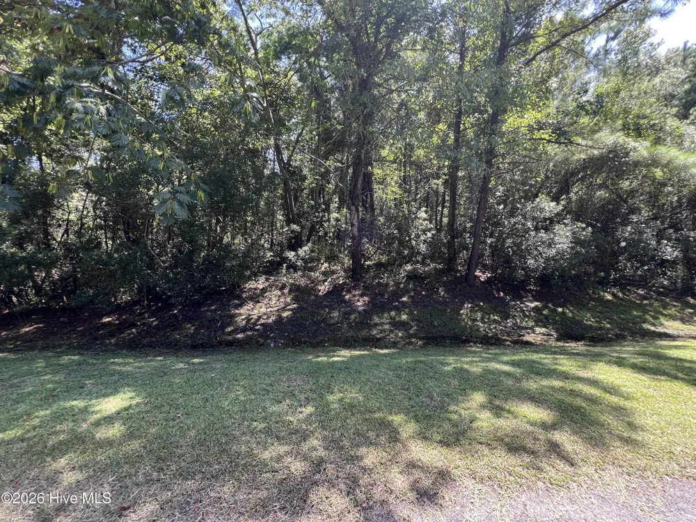 Lot#43,43a Windy Point Belhaven, NC 27810