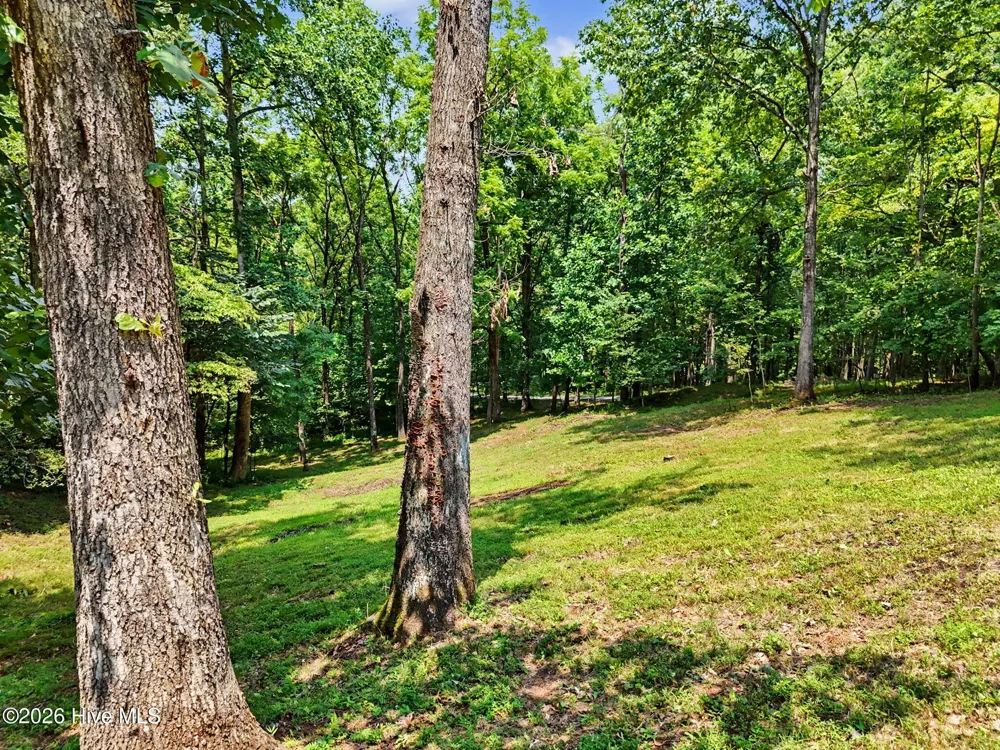 210 Majestic Drive Hayesville, NC 28904