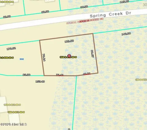 3006 Spring Creek Drive