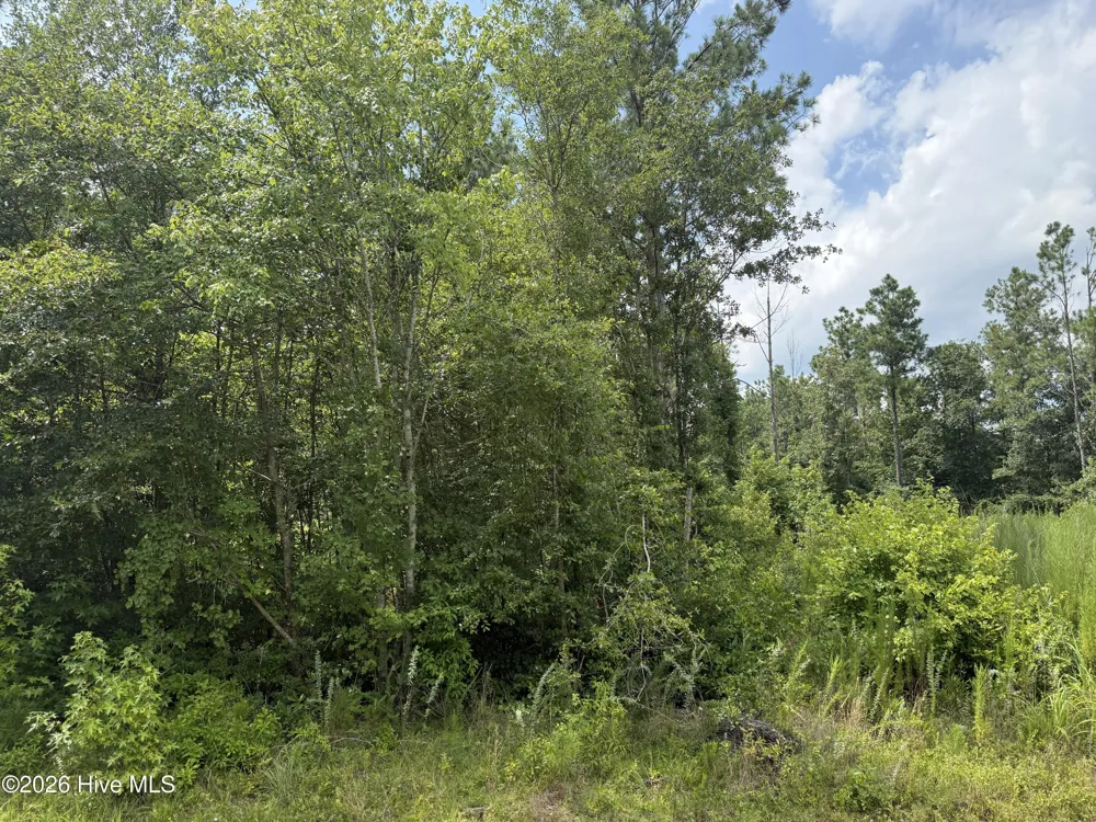 0 Stilley Town Road Edward, NC 27821