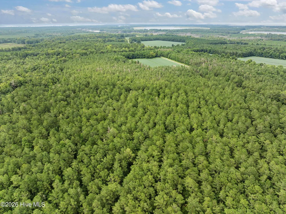 0 Stilley Town Road Edward, NC 27821