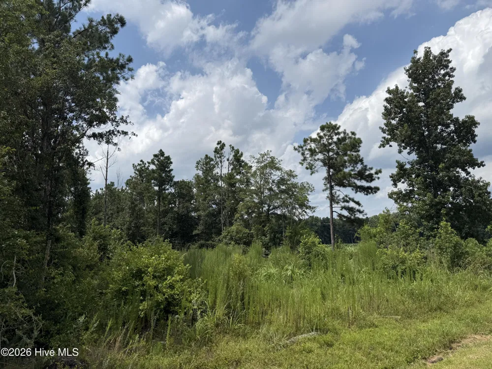 0 Stilley Town Road Edward, NC 27821