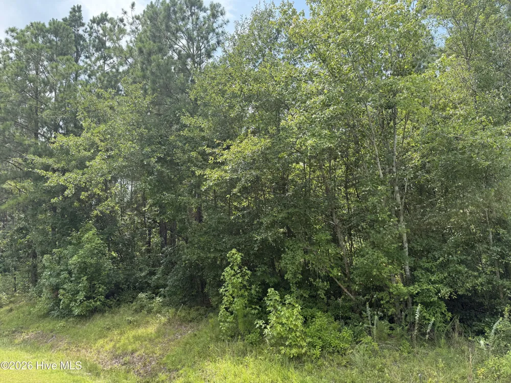 0 Stilley Town Road Edward, NC 27821