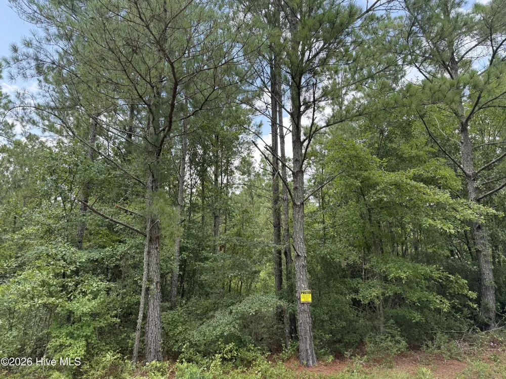 0 Stilley Town Road Edward, NC 27821