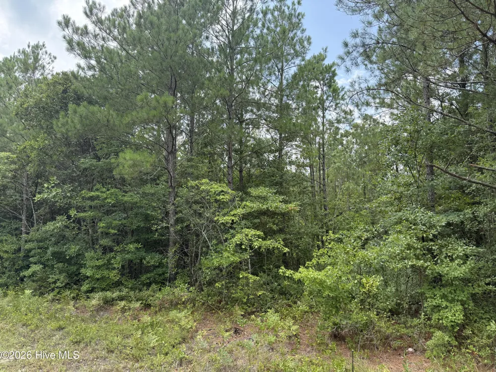 0 Stilley Town Road Edward, NC 27821