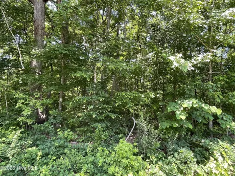 Lot 1 Shady Lane