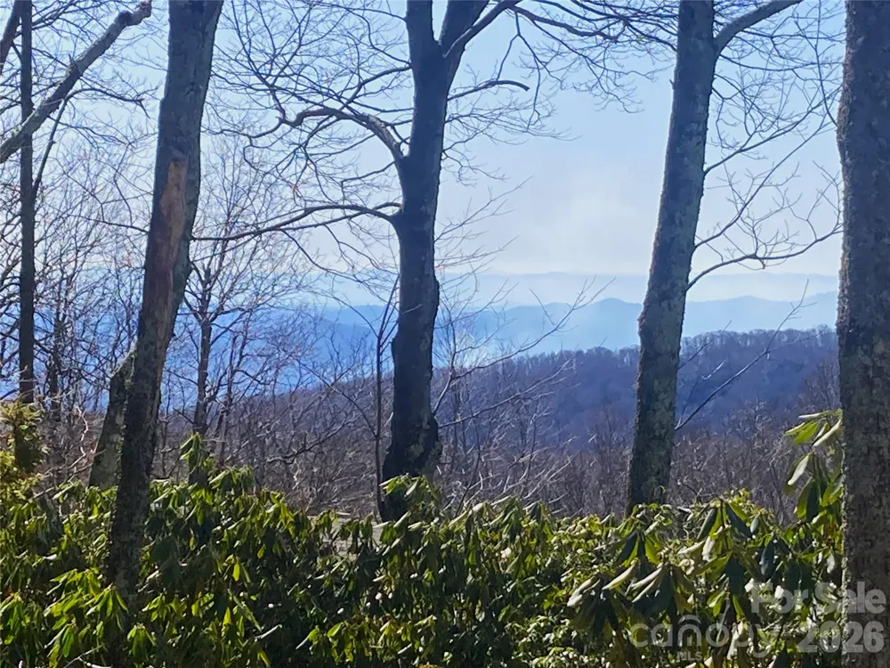 201 Jans Mountain Road Blowing Rock, NC 28605