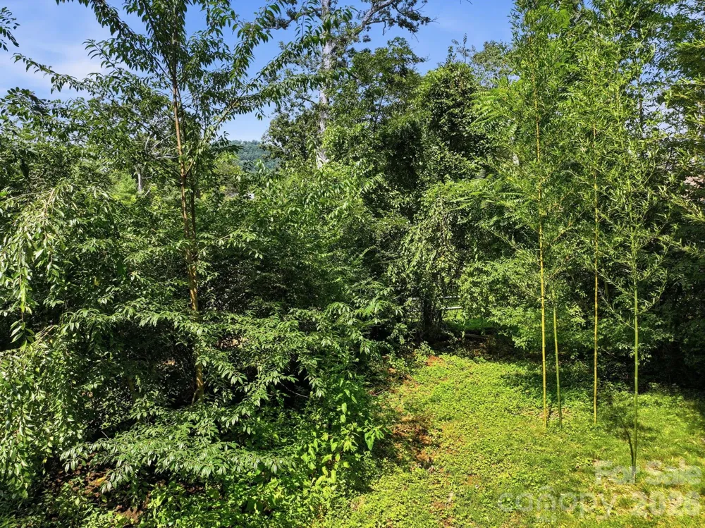 50 Alclare Court Asheville, NC 28804