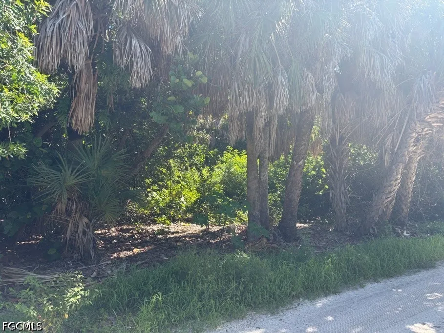 Smugglers Drive Captiva, FL 33924