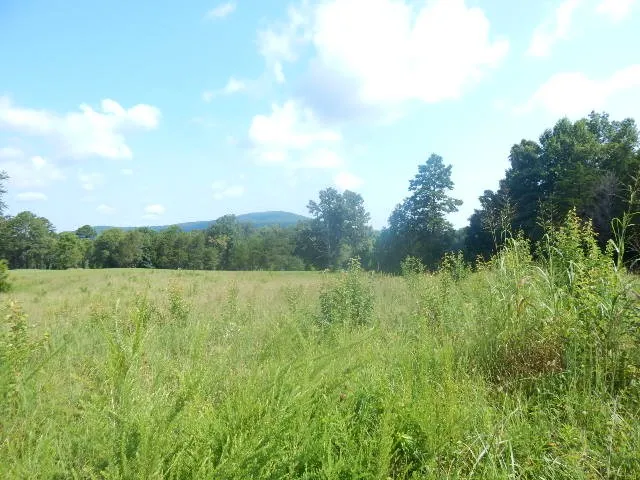 0 Dark Hollow Rd Mc Minnville, TN 37110