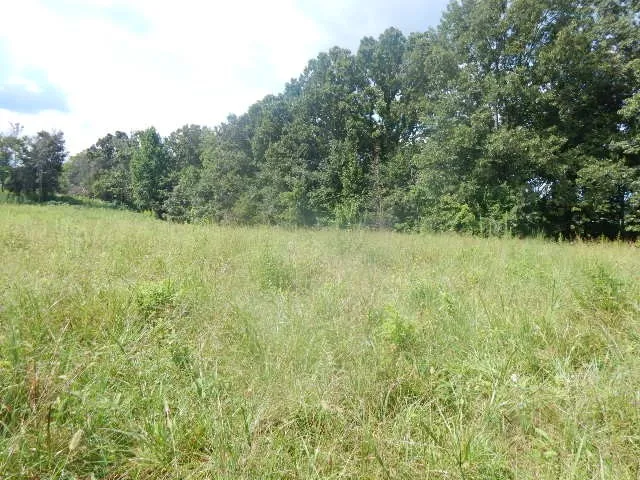 0 Dark Hollow Rd Mc Minnville, TN 37110