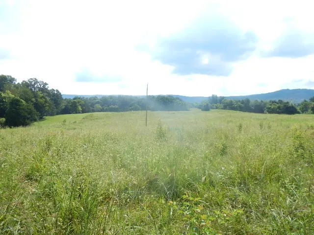 0 Dark Hollow Rd Mc Minnville, TN 37110