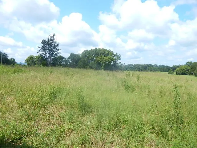 0 Dark Hollow Rd Mc Minnville, TN 37110