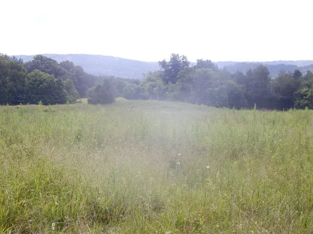 0 Dark Hollow Rd Mc Minnville, TN 37110