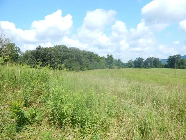0 Dark Hollow Rd Mc Minnville, TN 37110