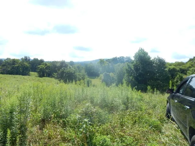 0 Dark Hollow Rd Mc Minnville, TN 37110