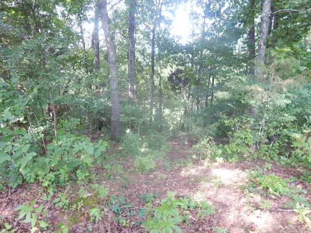 0 Dark Hollow Rd Mc Minnville, TN 37110