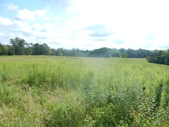 0 Dark Hollow Rd Mc Minnville, TN 37110