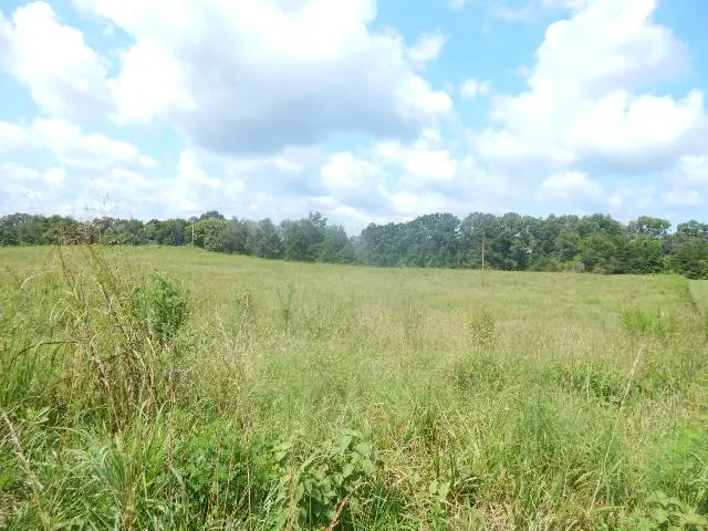 0 Dark Hollow Rd Mc Minnville, TN 37110