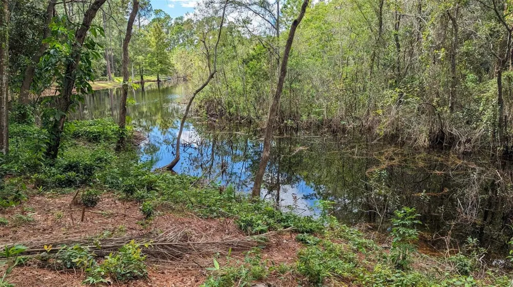 268 ALMYRA DRIVE Lake Mary, FL 32746