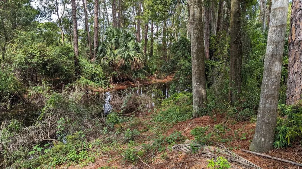 268 ALMYRA DRIVE Lake Mary, FL 32746