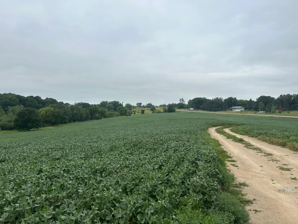 22921 County 10 Long Prairie, MN 56347