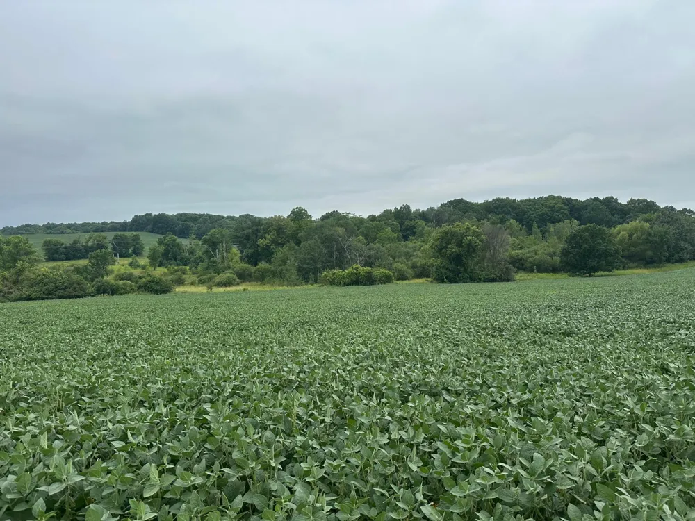 22921 County 10 Long Prairie, MN 56347