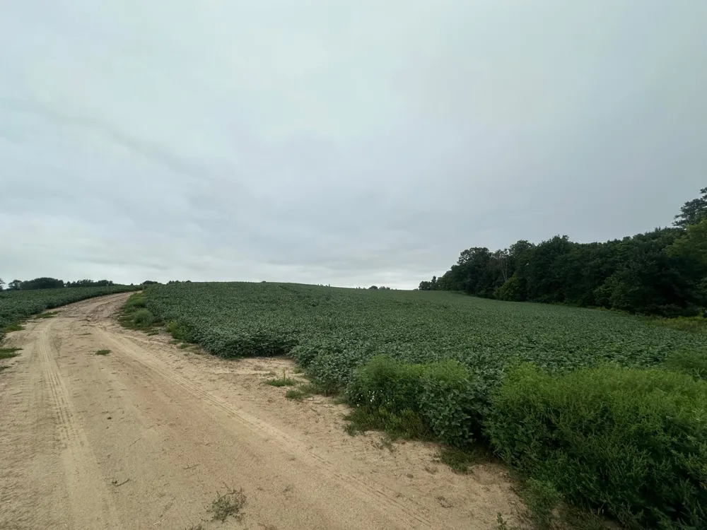 22921 County 10 Long Prairie, MN 56347