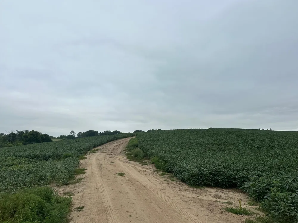 22921 County 10 Long Prairie, MN 56347