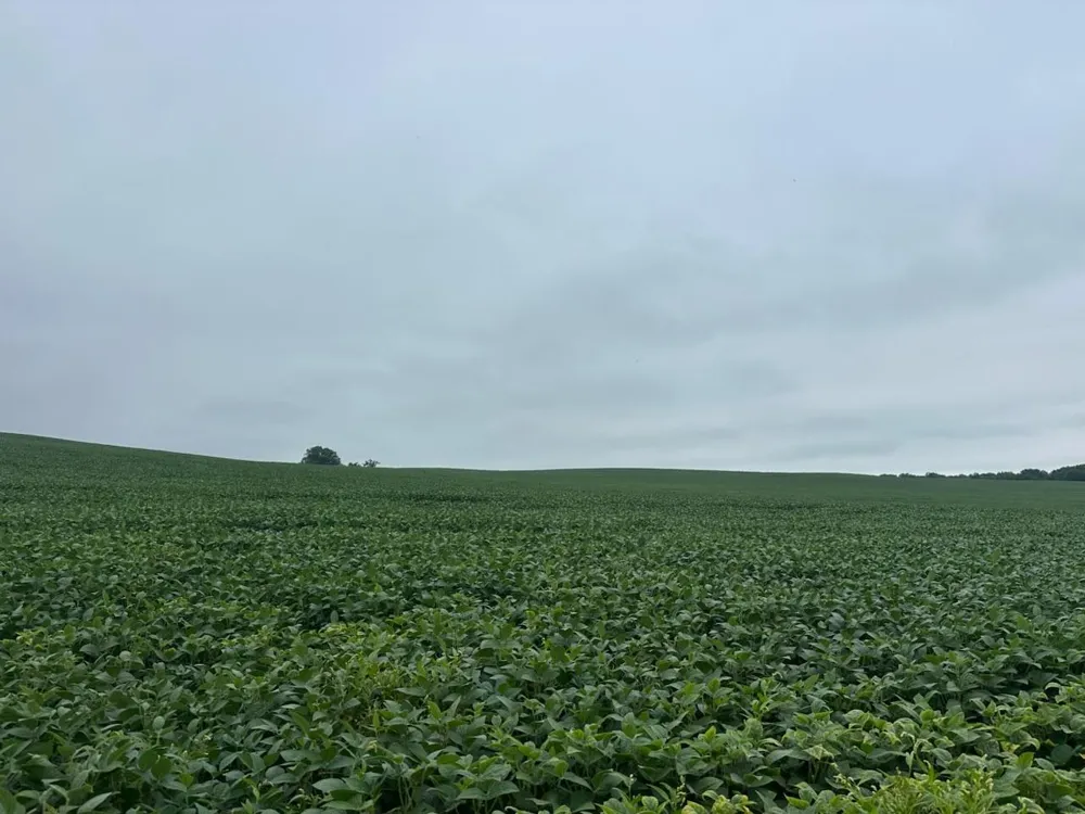 22921 County 10 Long Prairie, MN 56347