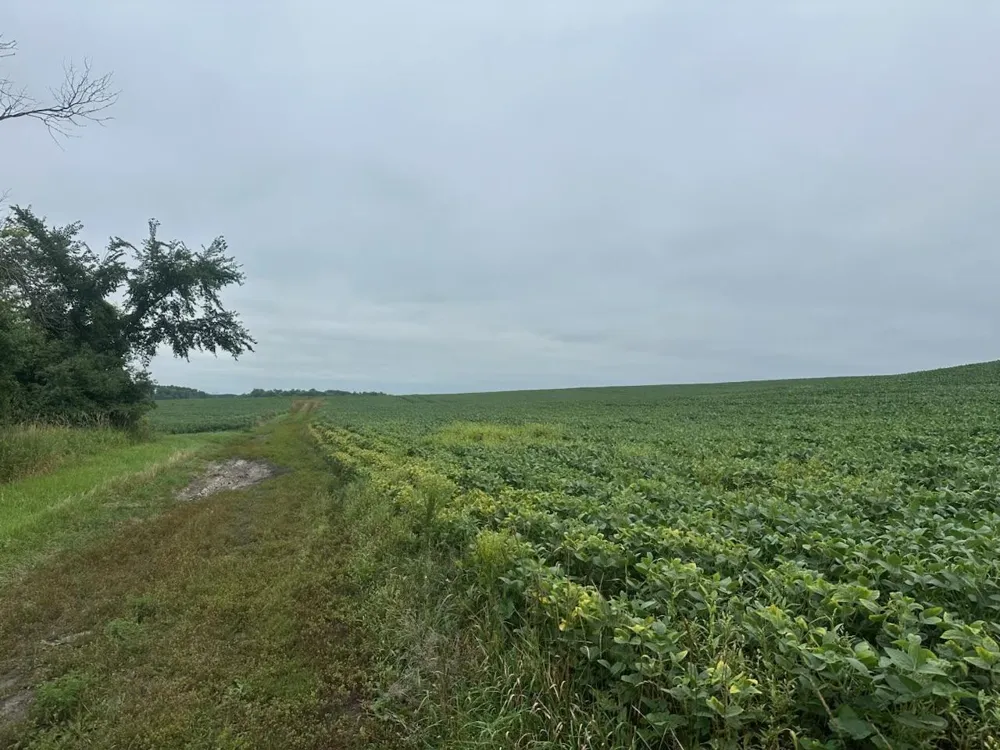 22921 County 10 Long Prairie, MN 56347