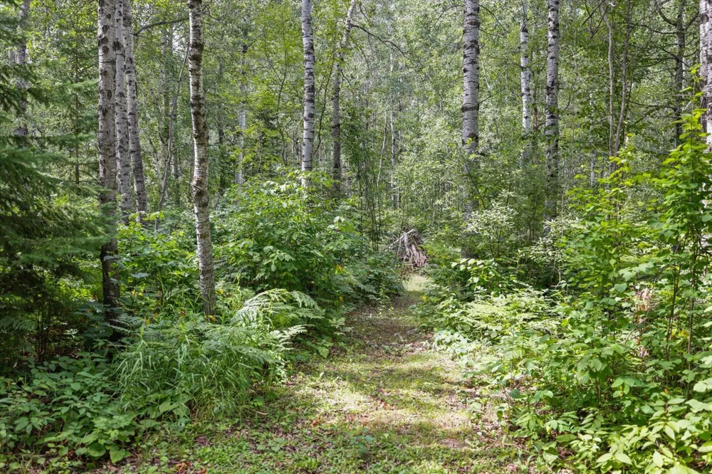 8557 Highway 21 Babbitt, MN 55706
