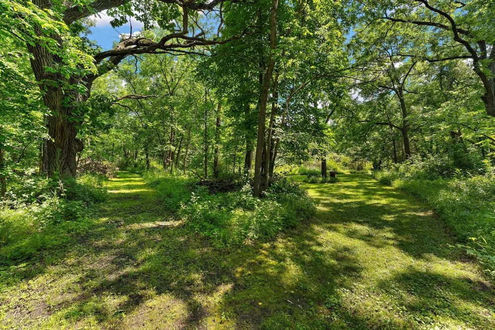 29270 Doyle Trail Randolph, MN 55065