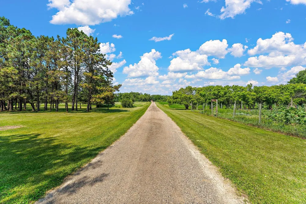 29270 Doyle Trail Randolph, MN 55065