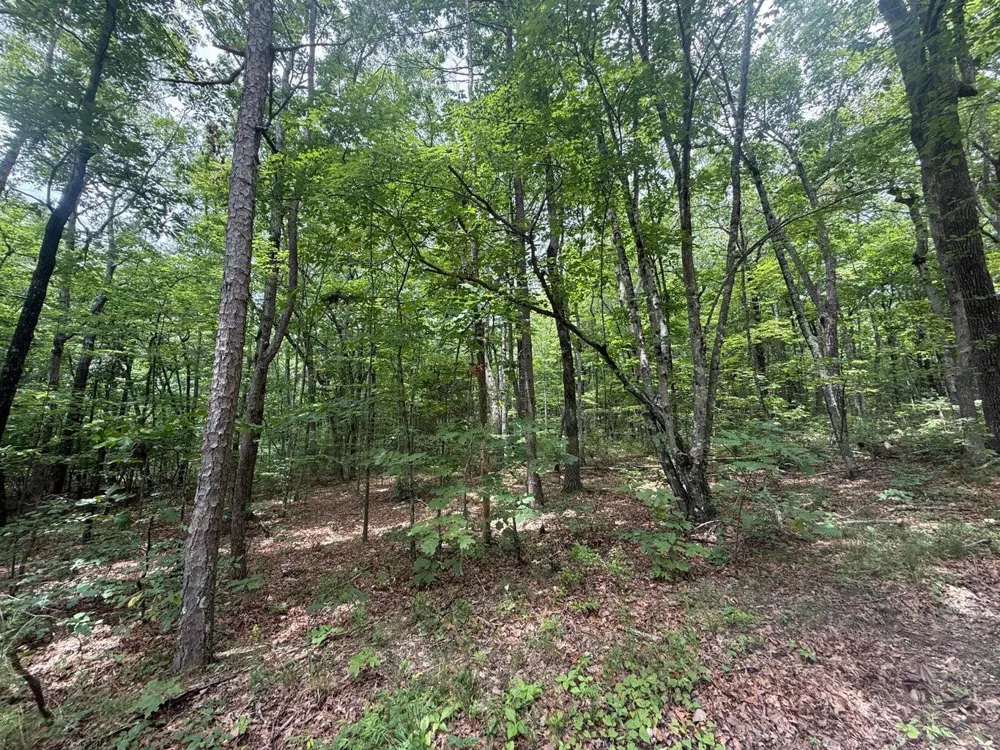 1869 Windridge Dunlap, TN 37327