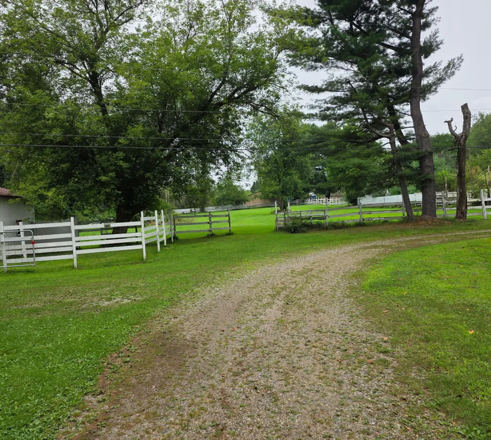 8550 Meridian Road Henrietta Township, MI 49272