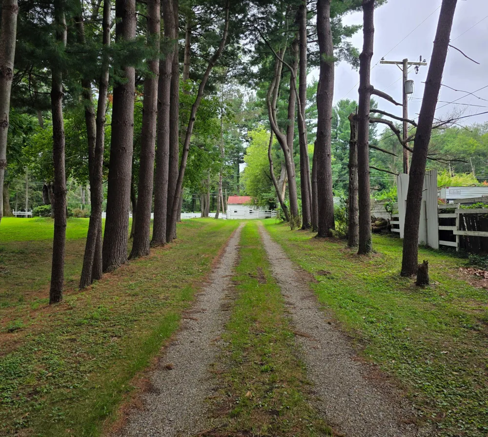 8550 Meridian Road Henrietta Township, MI 49272