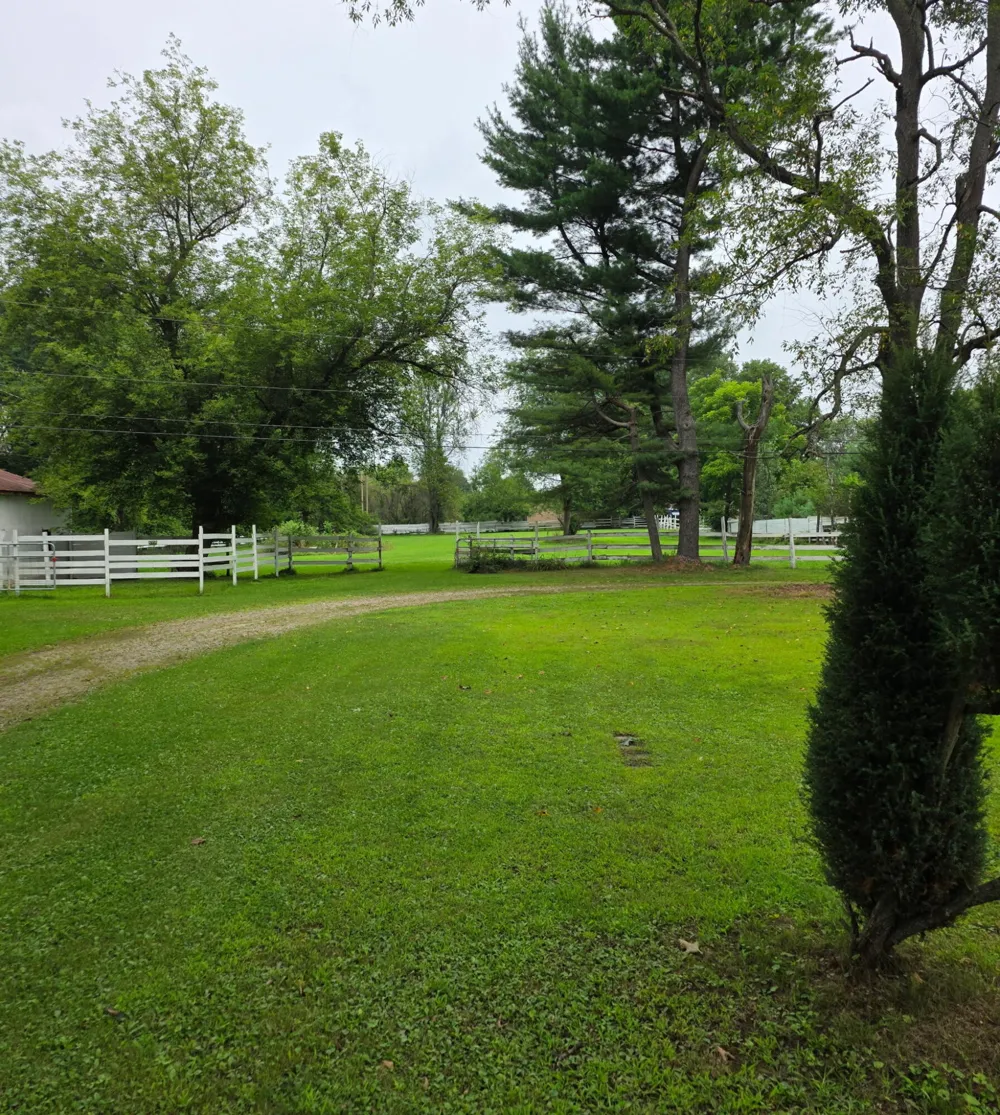 8550 Meridian Road Henrietta Township, MI 49272