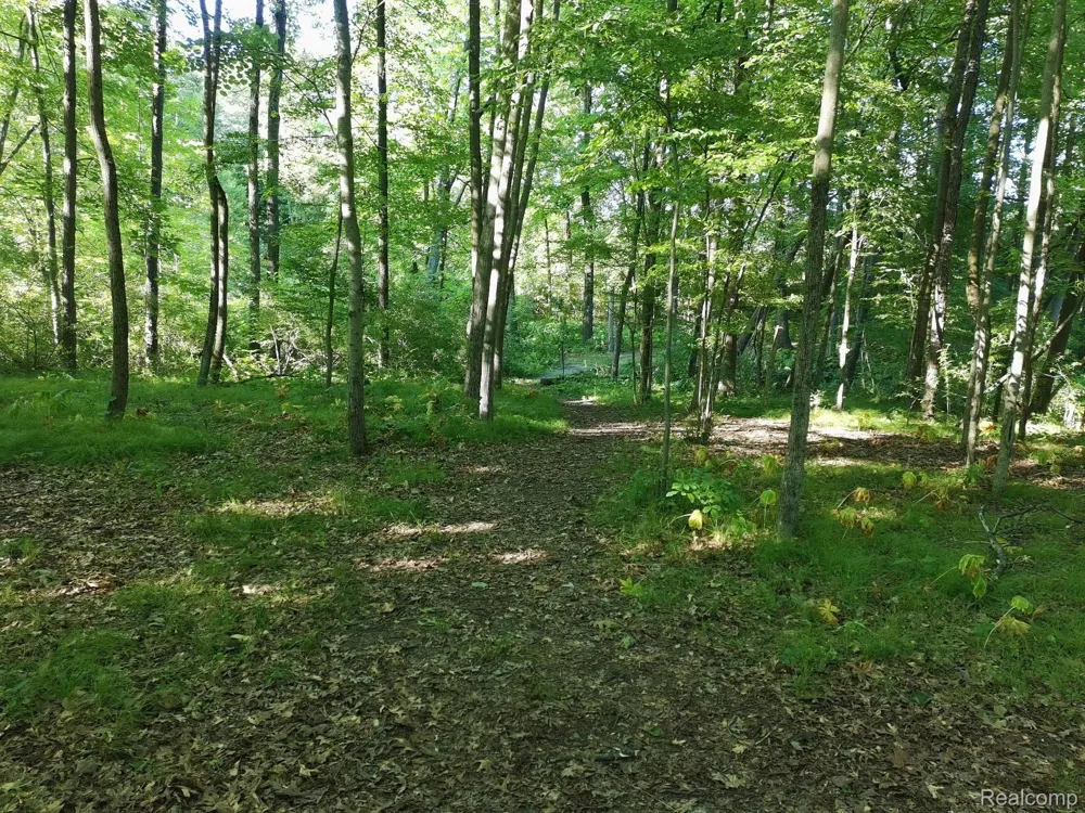 6776 Farley Road Putnam Township, MI 48169