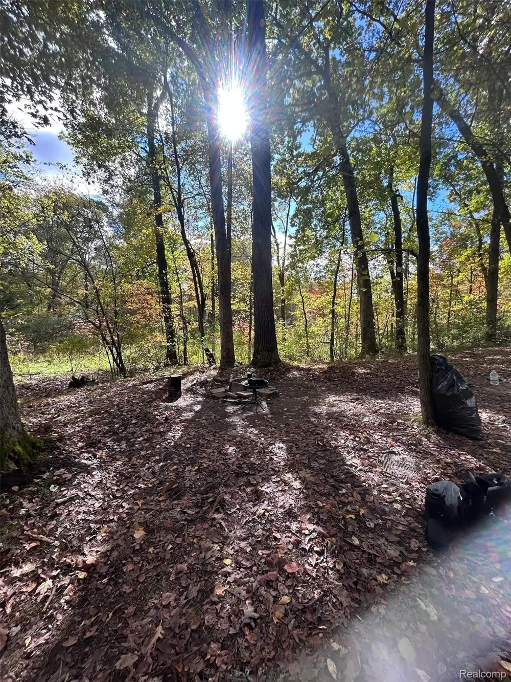 6776 Farley Road Putnam Township, MI 48169
