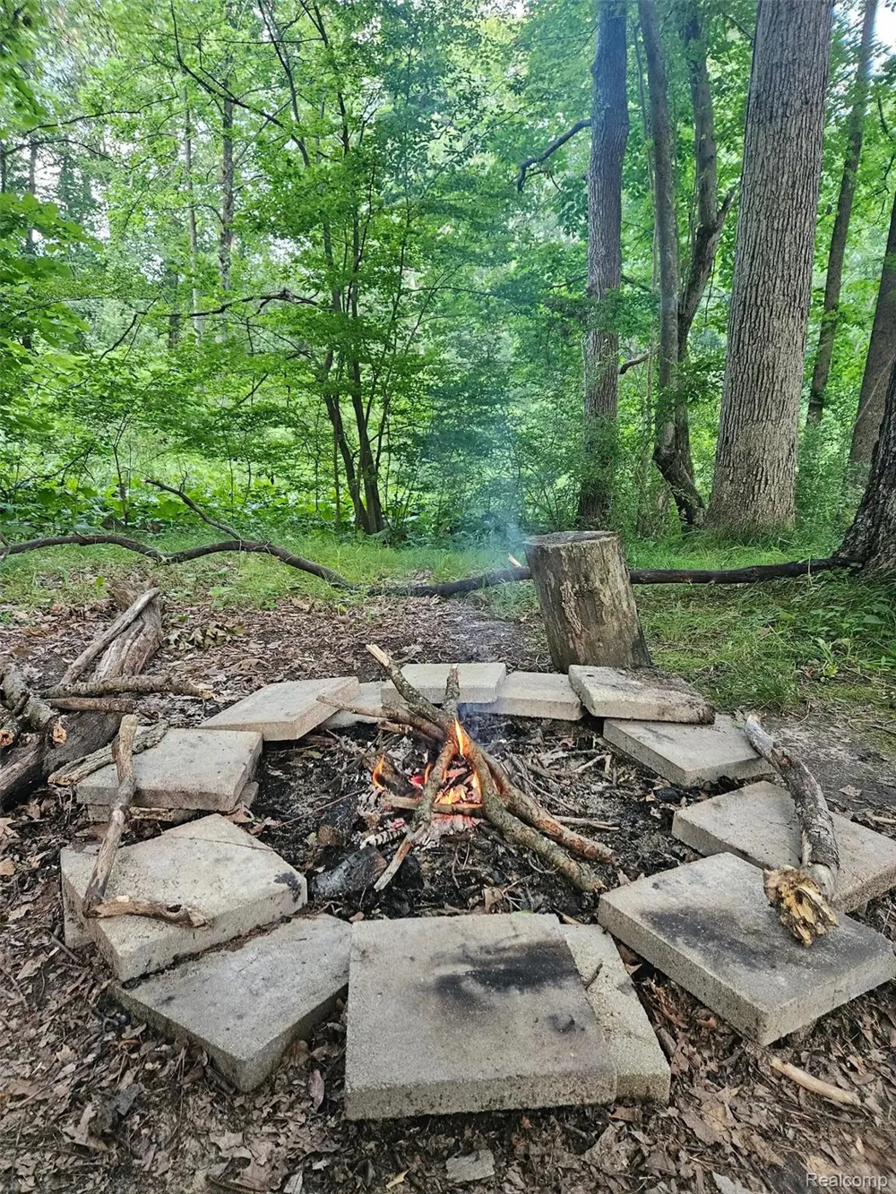 6776 Farley Road Putnam Township, MI 48169