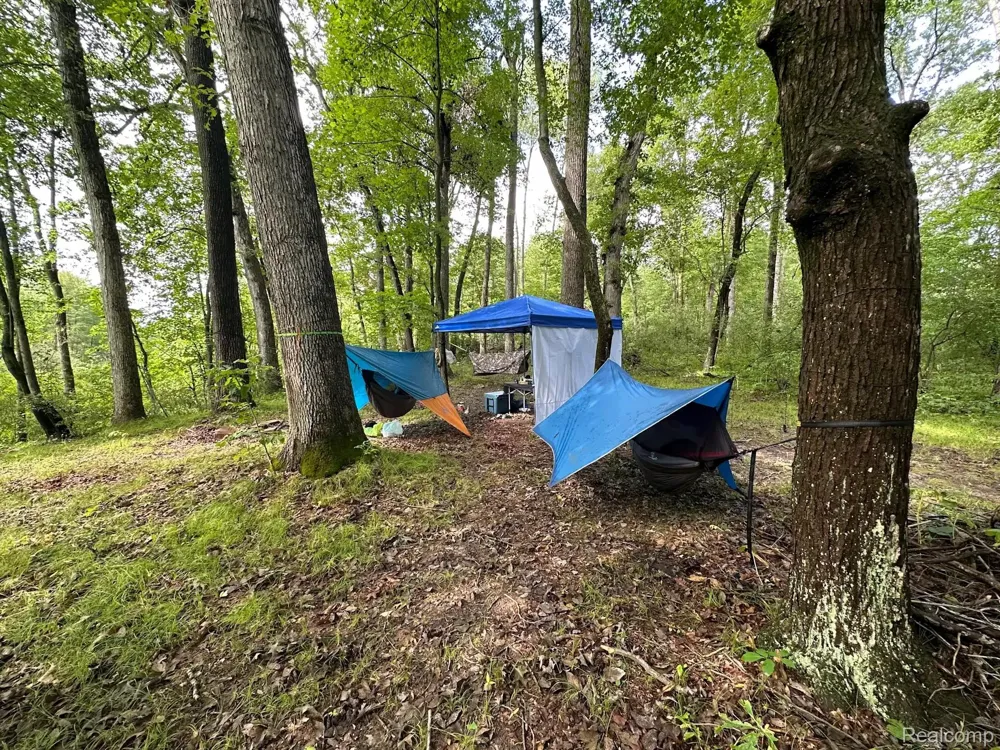 6776 Farley Road Putnam Township, MI 48169
