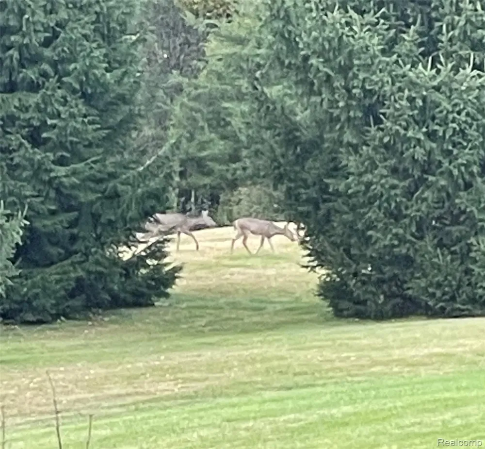 6776 Farley Road Putnam Township, MI 48169