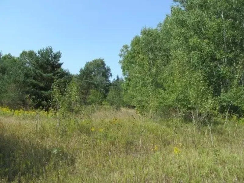 M-55 Haring Charter Township, MI 49601