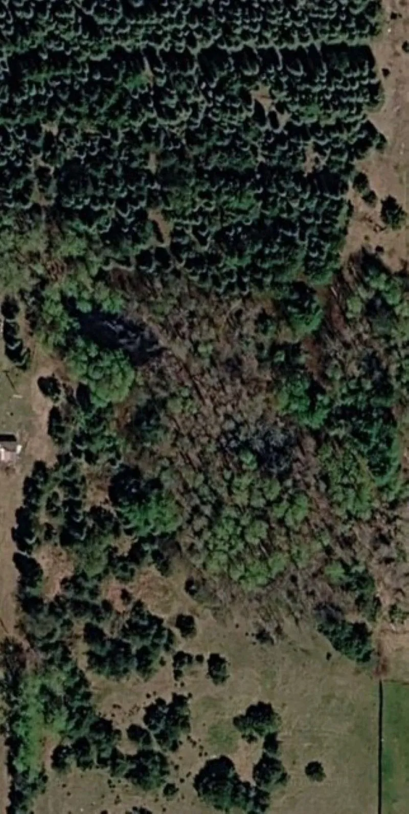 M-55 Haring Charter Township, MI 49601