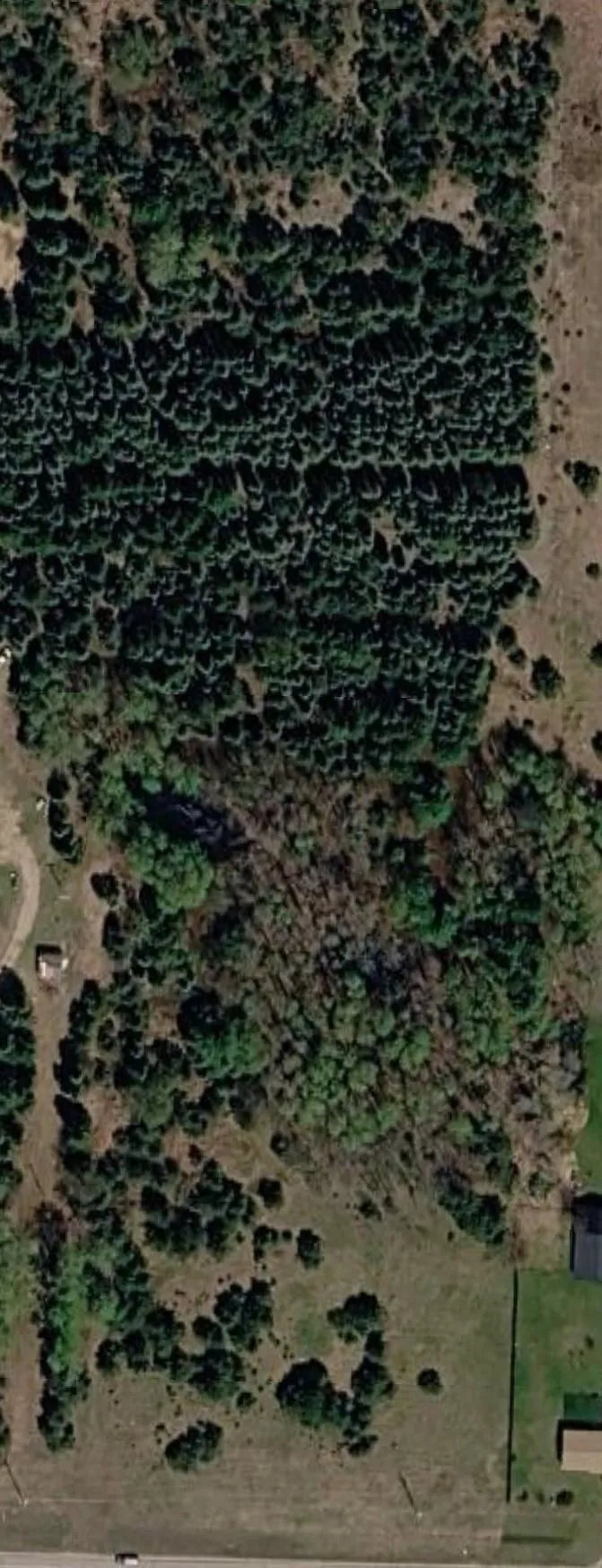 M-55 Haring Charter Township, MI 49601
