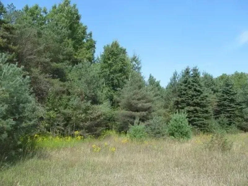 M-55 Haring Charter Township, MI 49601
