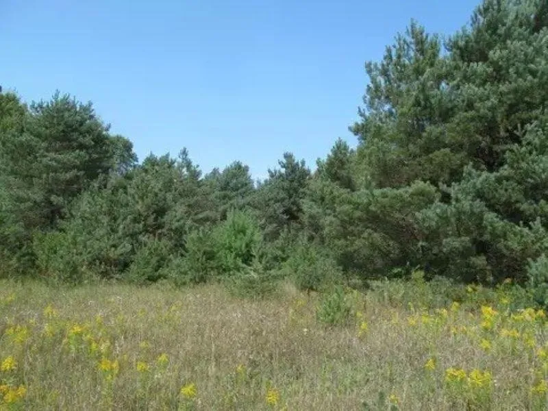 M-55 Haring Charter Township, MI 49601