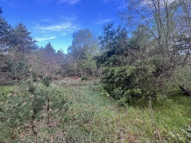 M-55 Haring Charter Township, MI 49601