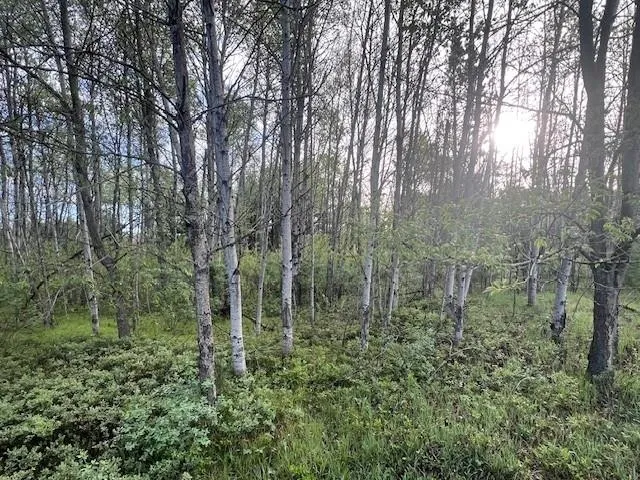 M-55 Haring Charter Township, MI 49601